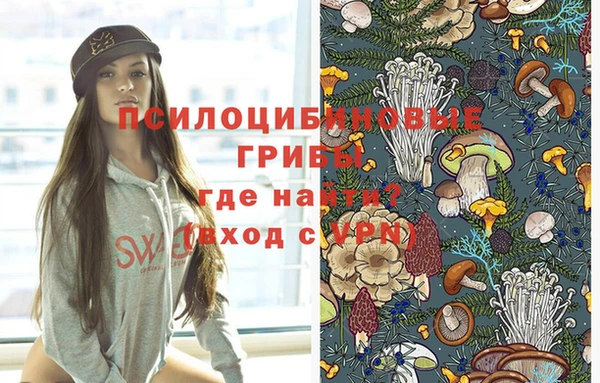 винт Наволоки