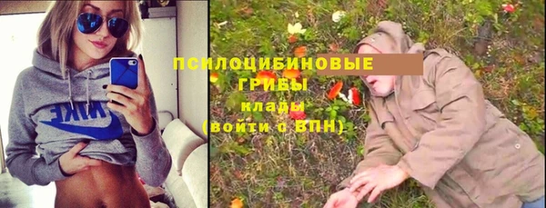 винт Наволоки