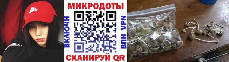 продажа наркотиков  Салаир  Псилоцибиновые грибы MAGIC MUSHROOMS 